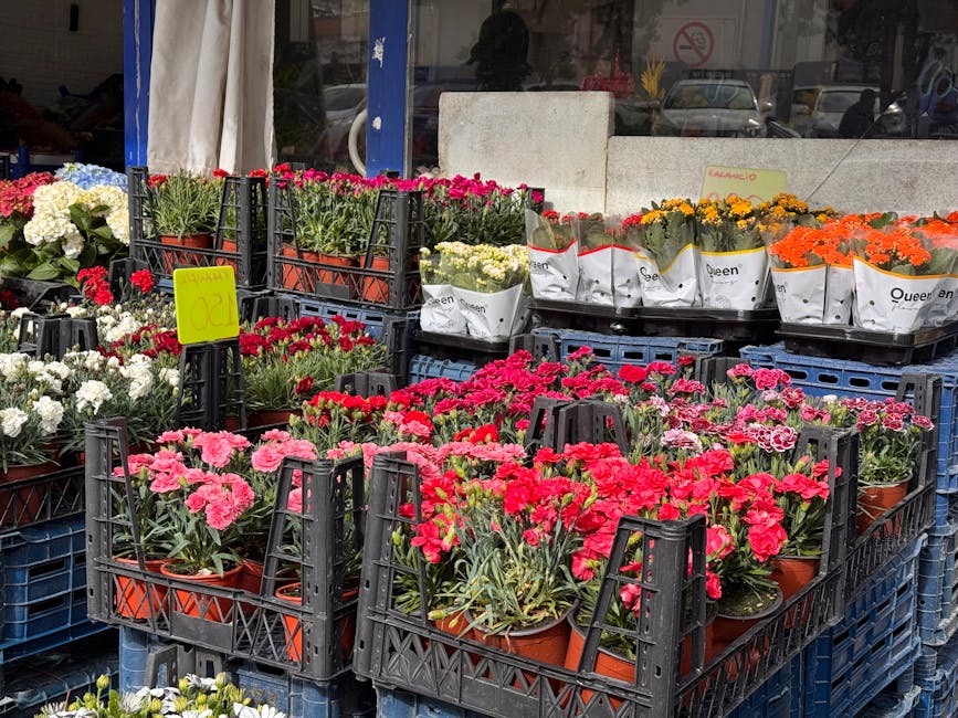 A display of various potted flowering plants arranged in black plastic crates outside a florist shop, featuring pink, red, white, yellow, and orange blooms. The arrangement includes carnations and oth